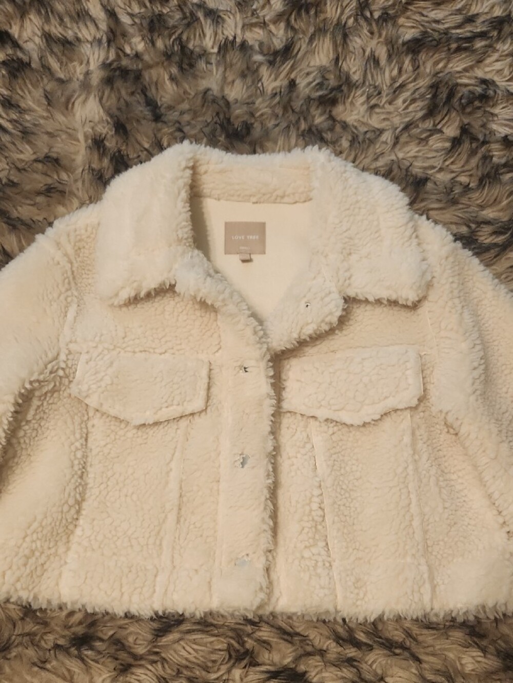 Willow Boutique Love Tree Ivory Teddy Sherpa Jacket - Picture 2 of 5